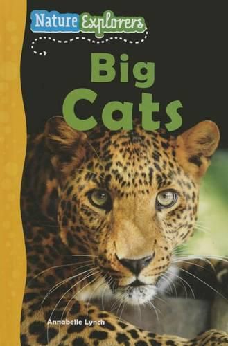 Cover image for Big Cats