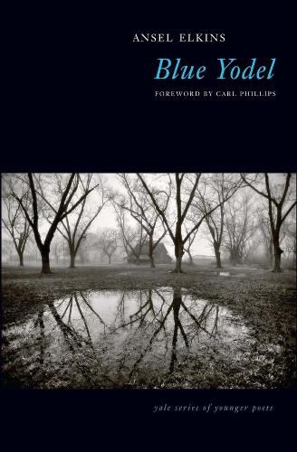 Cover image for Blue Yodel