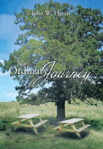 Cover image for No Ordinary Journey