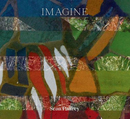 Cover image for Sean Palfrey: Imagine