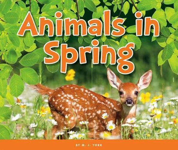 Animals in Spring