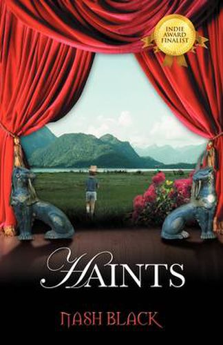 Cover image for Haints