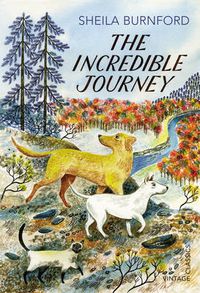 Cover image for The Incredible Journey