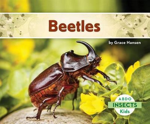 Cover image for Beetles