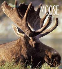 Cover image for Moose