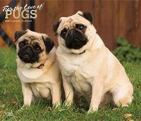 Cover image for Pugs, for the Love of 2020 Deluxe Foil