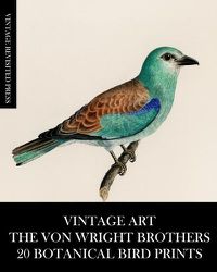 Cover image for Vintage Art: The Von Wright Brothers: 20 Botanical Bird Prints