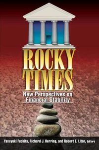 Cover image for Rocky Times: New Perspectives on Financial Stability