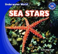 Cover image for Sea Stars