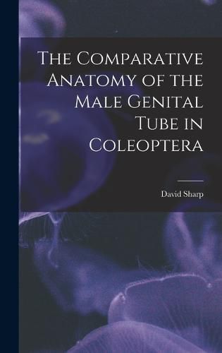 The Comparative Anatomy of the Male Genital Tube in Coleoptera