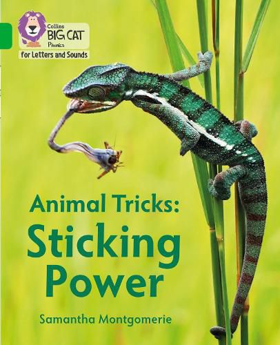 Animal Tricks: Sticking Power: Band 05/Green