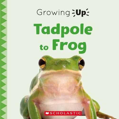 Tadpole to Frog (Growing Up) (Library Edition)