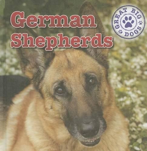 German Shepherds