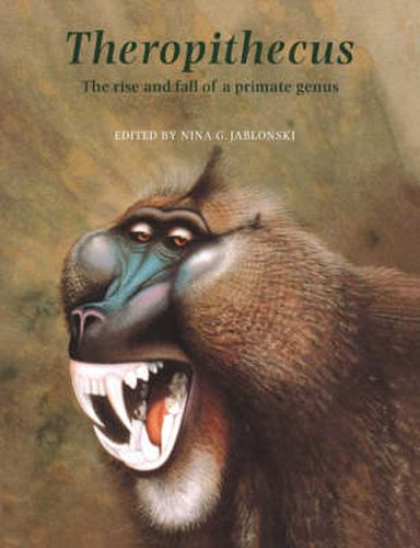 Cover image for Theropithecus: The Rise and Fall of a Primate Genus