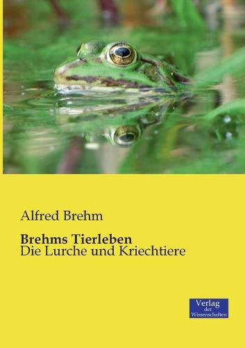 Cover image for Brehms Tierleben: Die Lurche und Kriechtiere