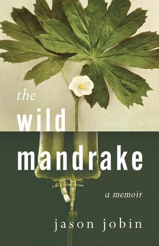 Cover image for The Wild Mandrake