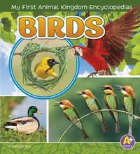 Cover image for Birds