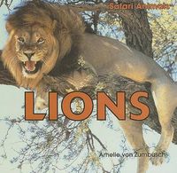 Cover image for Lions