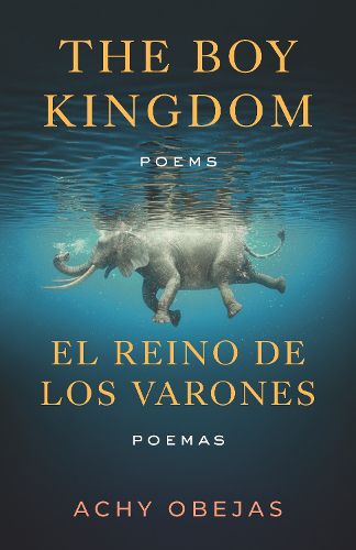Cover image for Boy Kingdom / El reino de los varones,The