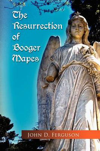 Cover image for The Resurrection of Booger Mapes