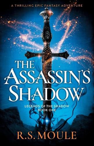 Cover image for The Assassin's Shadow