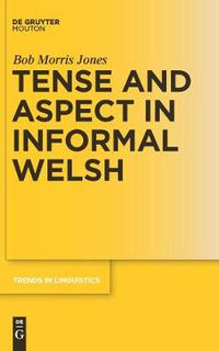 Cover image for Tense and Aspect in Informal Welsh