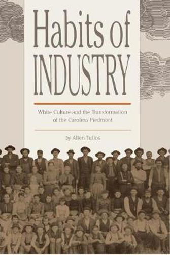 Cover image for Habits of Industry: White Culture and the Transformation of the Carolina Piedmont