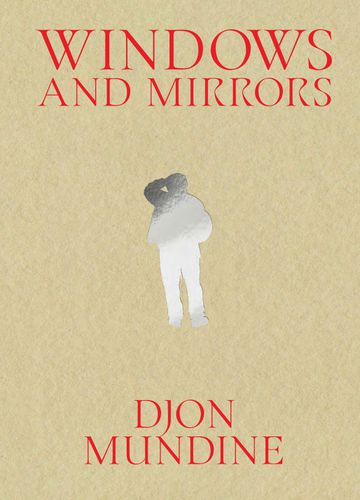 Cover image for Windows and Mirrors