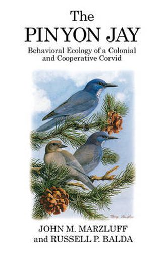 Cover image for The Pinyon Jay: Behavioral Ecology of a Colonial and Cooperative Corvid