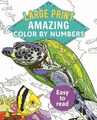 Cover image for Amazing Color by Numbers Large Print