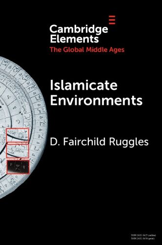 Cover image for Islamicate Environments