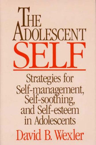 Cover image for The Adolescent Self: Strategies for Self-management, Self-soothing and Self-esteem in Adolescents