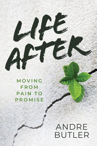 Cover image for Life After: Moving from Pain to Promise