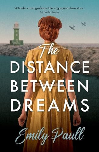 Cover image for The Distance Between Dreams