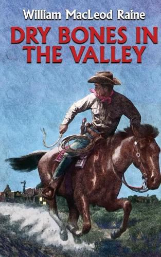 Cover image for Dry Bones in the Valley