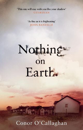 Cover image for Nothing On Earth