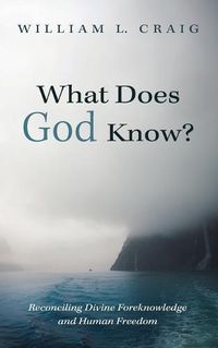 Cover image for What Does God Know?