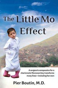 Cover image for The Little Mo Effect