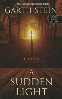 Cover image for A Sudden Light