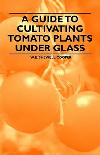 Cover image for A Guide to Cultivating Tomato Plants Under Glass