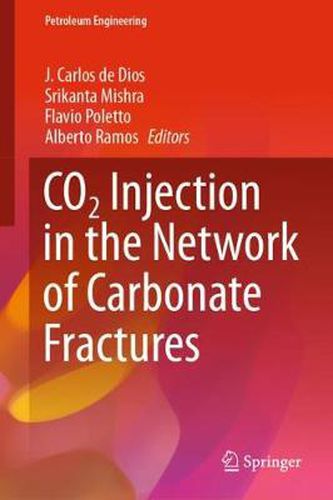 Cover image for CO2 Injection in the Network of Carbonate Fractures