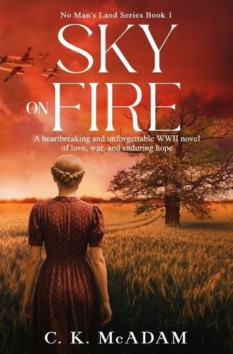 Cover image for Sky on Fire