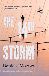 Cover image for The 14th Storm