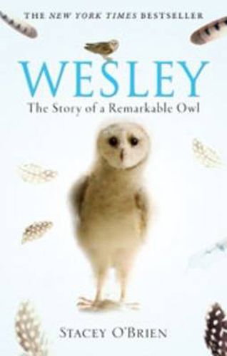 Cover image for Wesley: The Story Of A Remarkable Owl