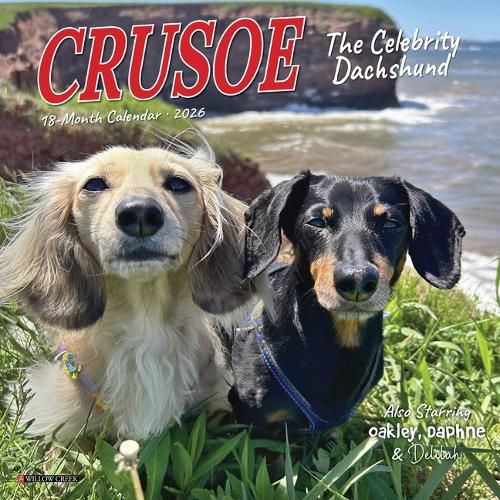 Cover image for Crusoe the Celebrity Dachshund 2026 7 X 7 Mini Wall Calendar