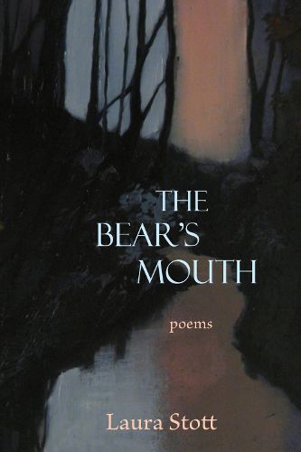 Cover image for The Bear's Mouth