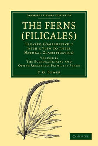 Cover image for The Ferns (Filicales): Volume 2, The Eusporangiatae and Other Relatively Primitive Ferns: Treated Comparatively with a View to their Natural Classification