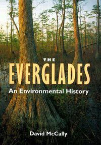 Cover image for The Everglades: An Environmental History