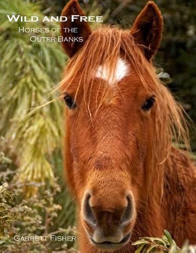 Cover image for Wild and Free: Horses of the Outer Banks