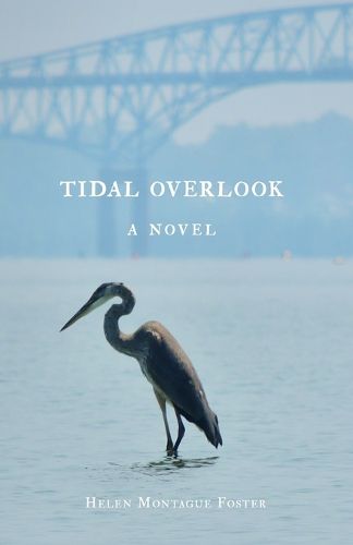 Cover image for Tidal Overlook